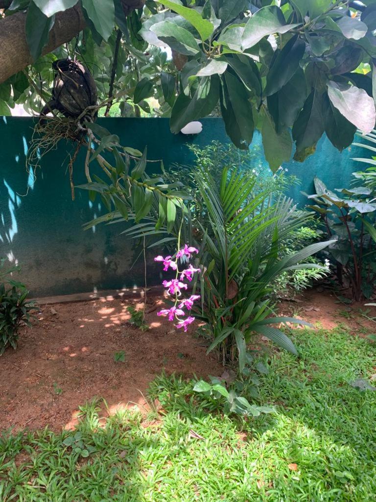 Villa Peace Heaven Galle Bagian luar foto